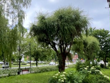 Mieszkanie Wejherowo