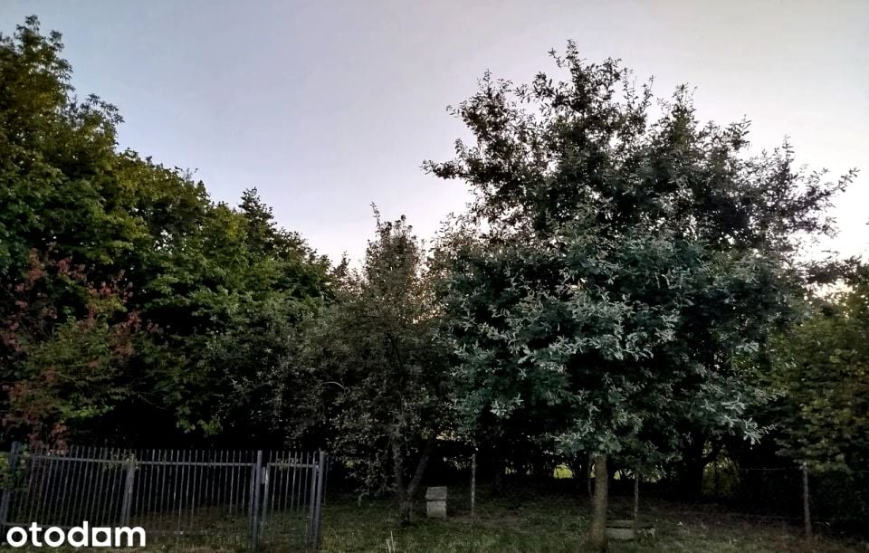 Działka usługowa Kraków