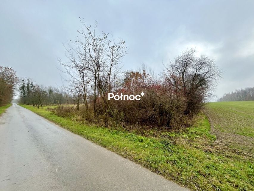 Działka Tymin
