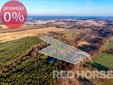 Działka leśna Kuźniczysko