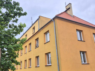 Mieszkanie Brzeg Dolny