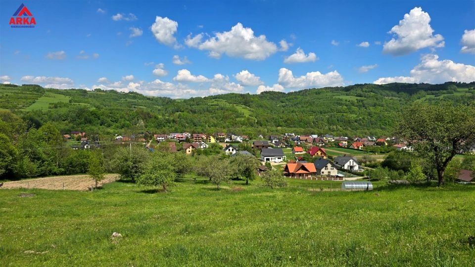 Zdjęcie 3