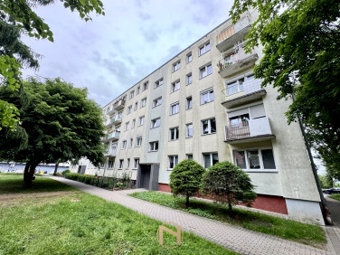 Mieszkanie Gorzów Wielkopolski