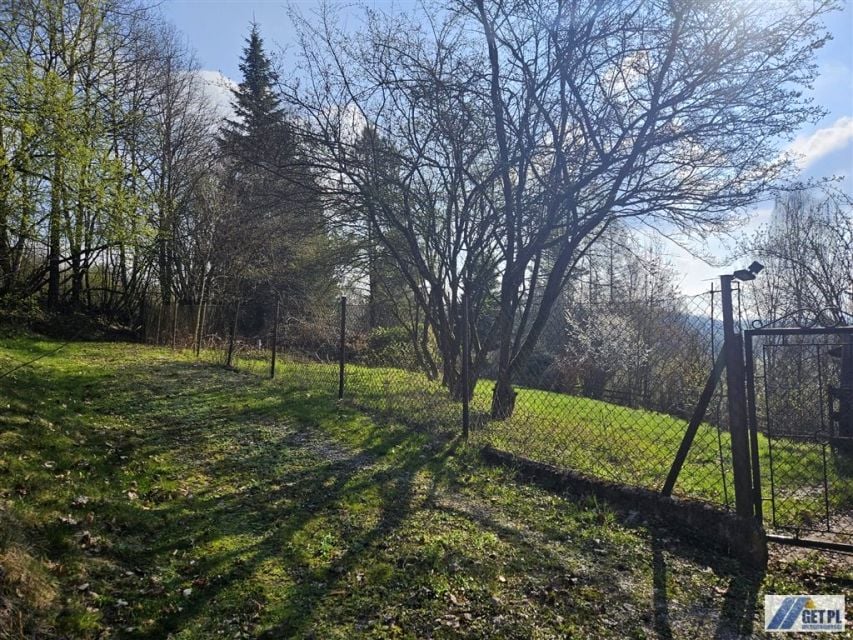 Zdjęcie 3