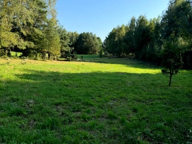 Działka Nowy Przykop