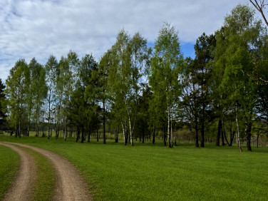 Działka Nowy Przykop