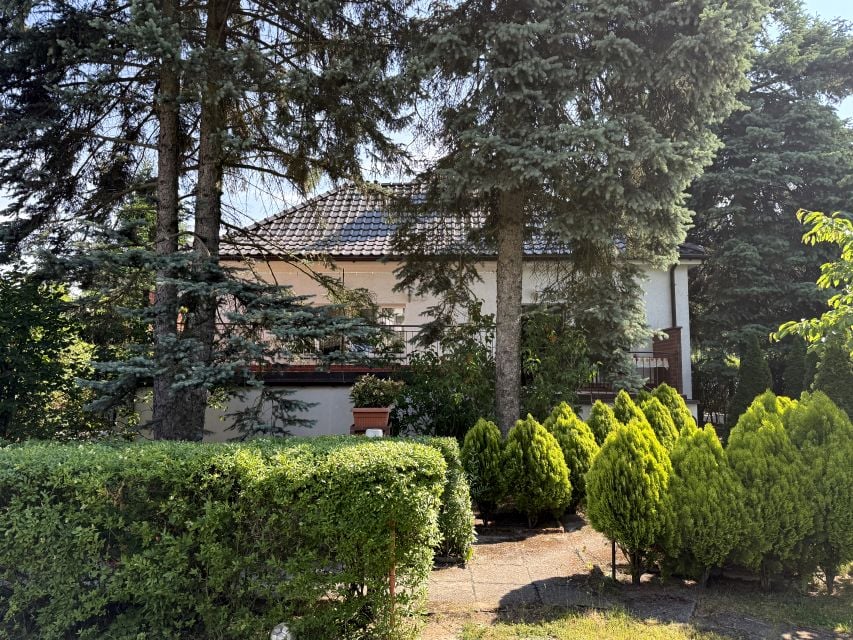 Zdjęcie 3