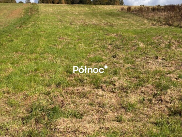 Działka rolna Kobyle