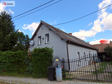 Dom Dębno sprzedaż