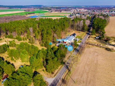 Działka inwestycyjna Witkowo