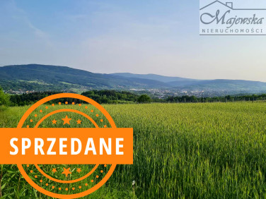 Działka Borzęta