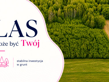 Zalesiona działka Kobyla