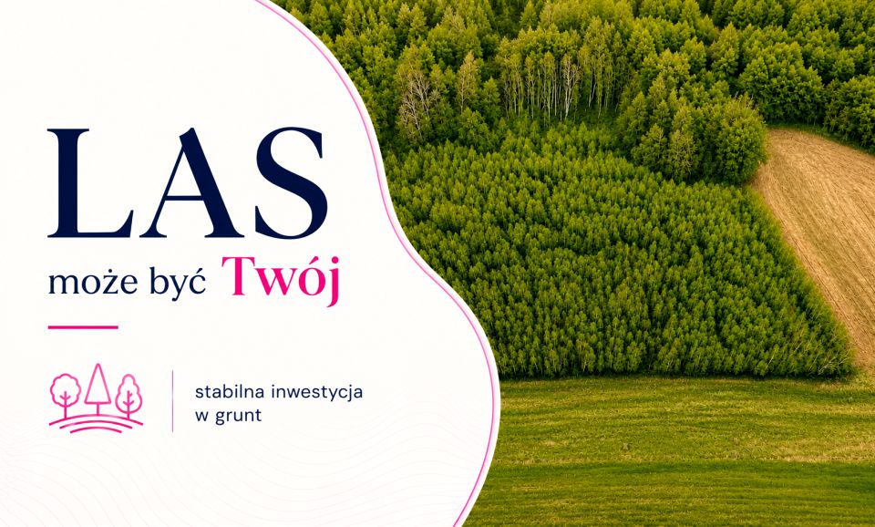 Zalesiona działka Kobyla