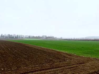 Działka rolna Gryfice