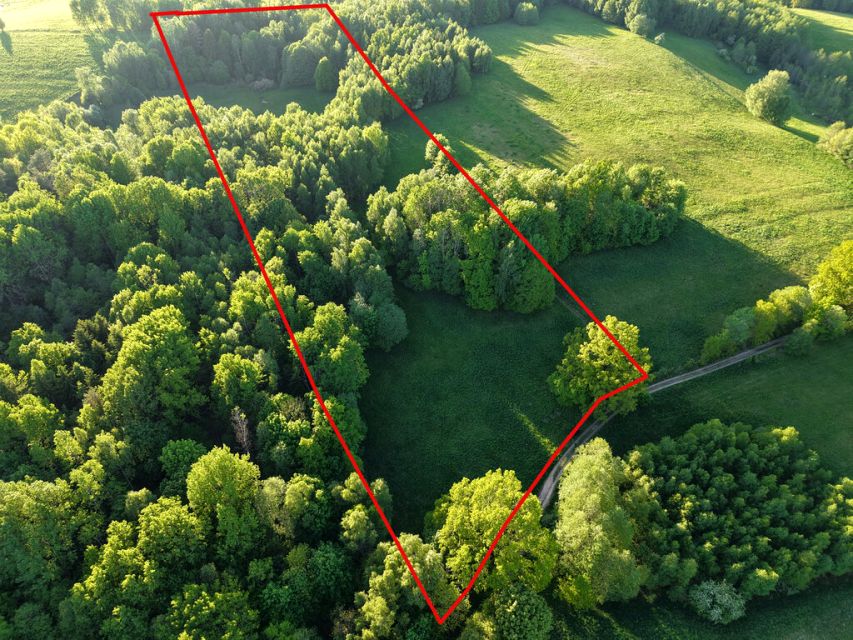 Działka przy lesie