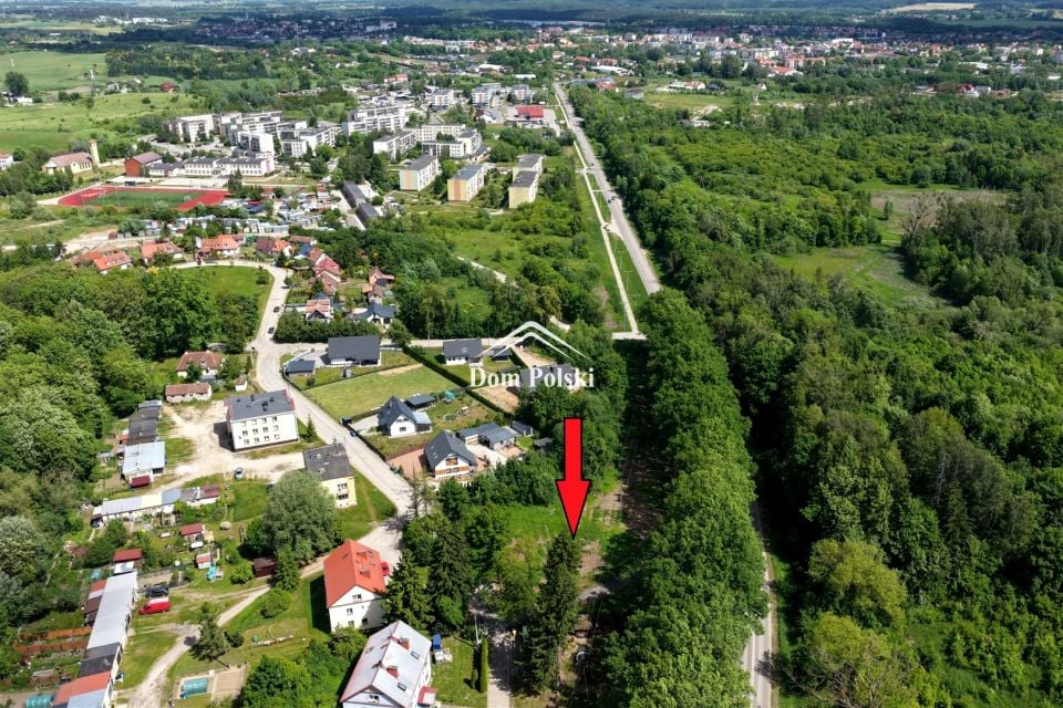 Zdjęcie 3