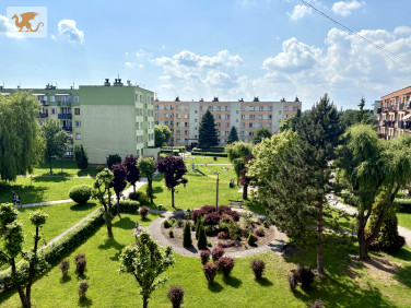 Mieszkanie Oświęcim