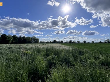 Działka Suchy Dąb