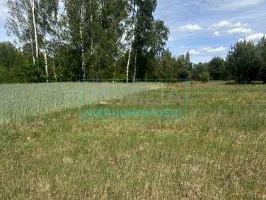 Działka budowlana Makówka