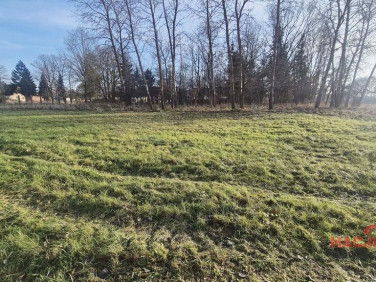 Działka Tatynia