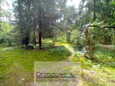 Działka budowlana Nowe Załubice