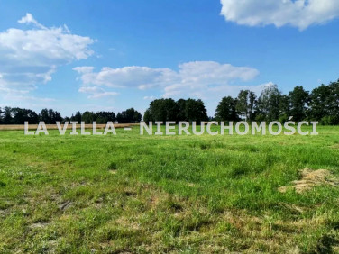 Działka rekreacyjna Boszkowo