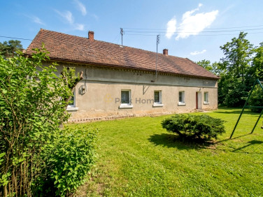 Działka Gębice