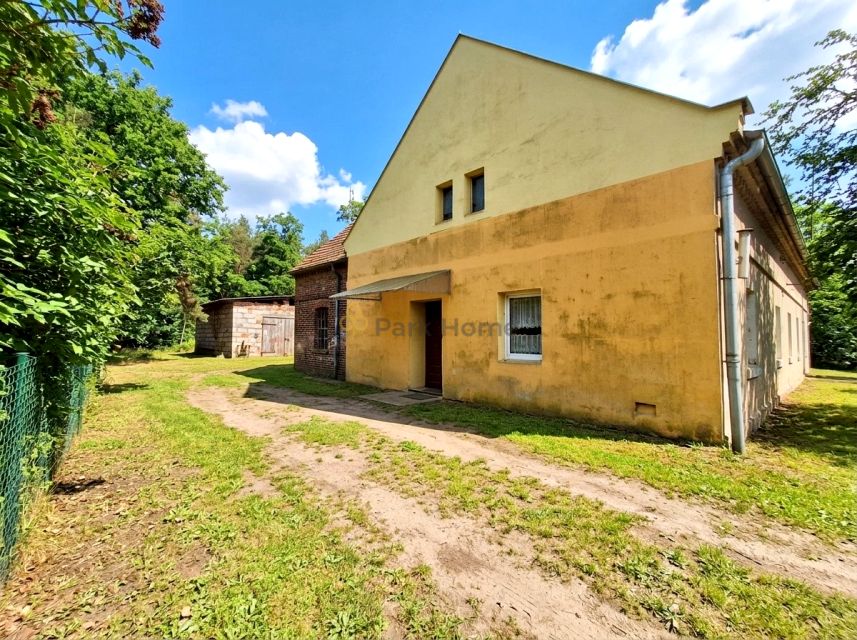 Zdjęcie 3