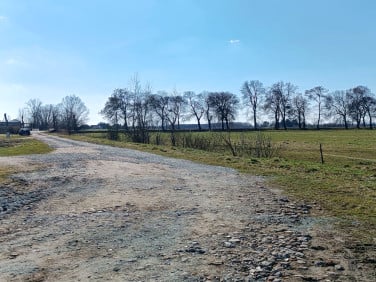 Działka Markusy