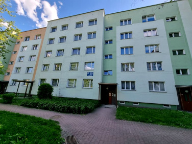 Mieszkanie Chełm