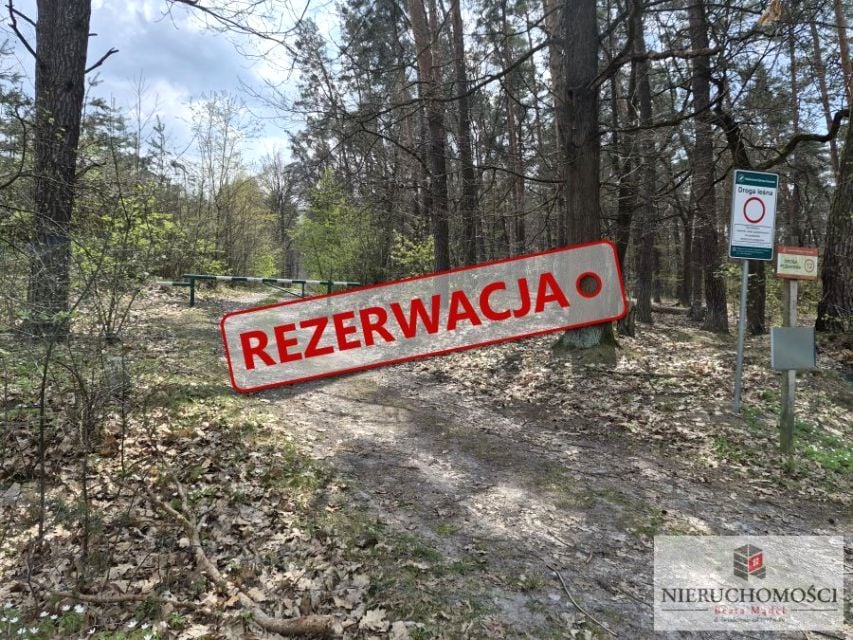 Zdjęcie 3