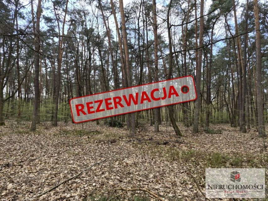 Działka leśna Borzęcin sprzedam