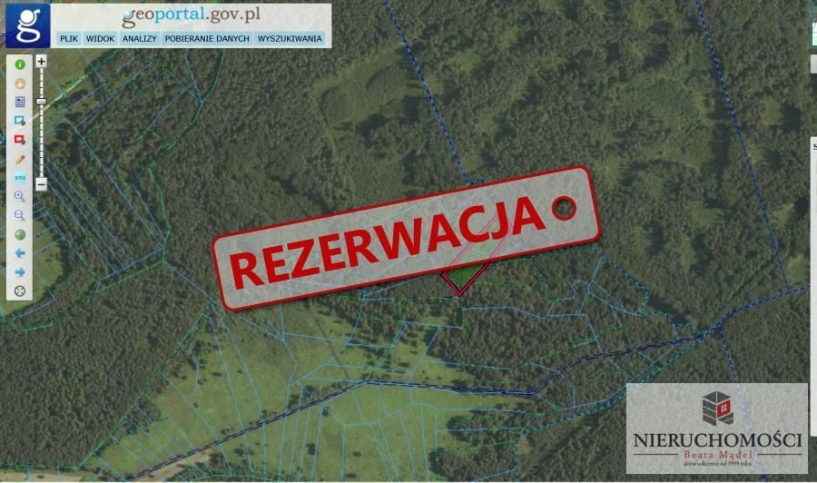 Zdjęcie 2