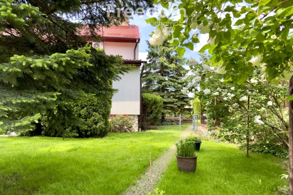 Zdjęcie 3