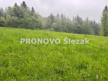Działka budowlana Krużlowa Wyżna