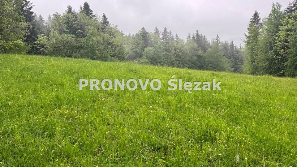 Działka budowlana Krużlowa Wyżna
