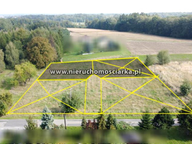 Działka przy lesie