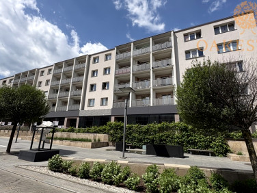 Mieszkanie Kielce