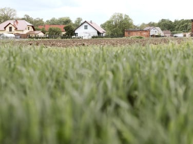Działka przy lesie