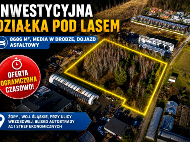 Działka Żory