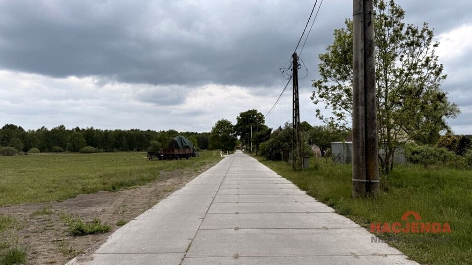 Zdjęcie 3