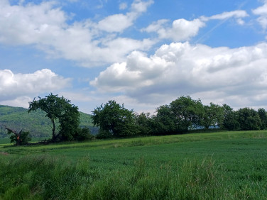 Działka Sady