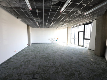 Lokal Kraków