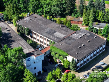 Lokal Bielsko-Biała