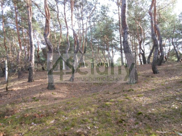 Działka budowlana Legionowo