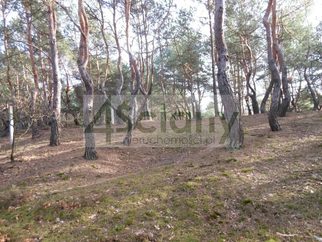 Działka budowlana Legionowo