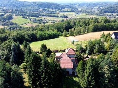 Działka Buczyna