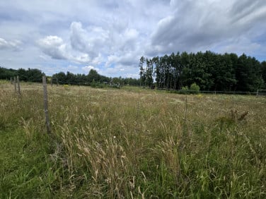Działka budowlana Nowe Polaszki