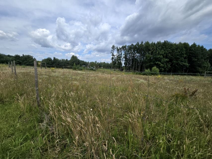 Działka budowlana Nowe Polaszki