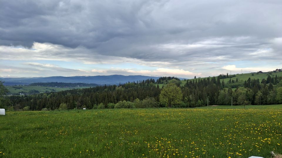 Zdjęcie 2